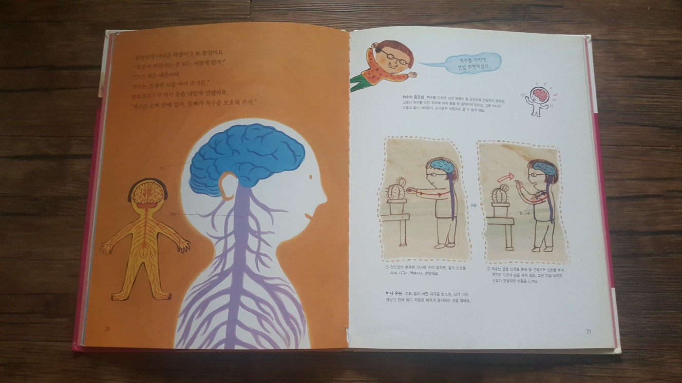 전집 교과서에나오는원리과학 명품꼬마자연관찰 이미지