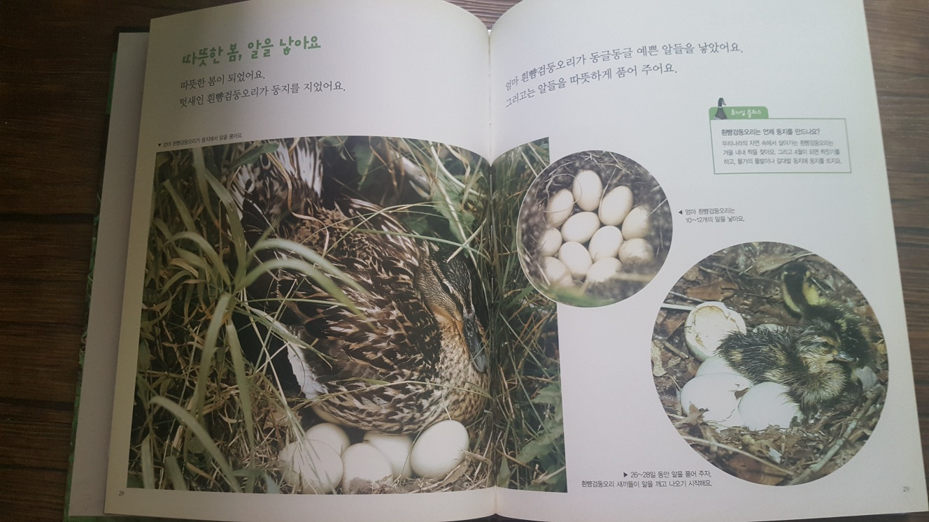 전집 교과서에나오는원리과학 명품꼬마자연관찰 이미지
