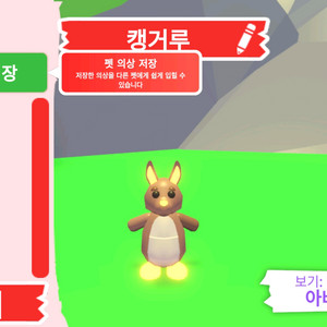 입양하세요 펫 네온 캥거루(네캥)판매합니다 이미지