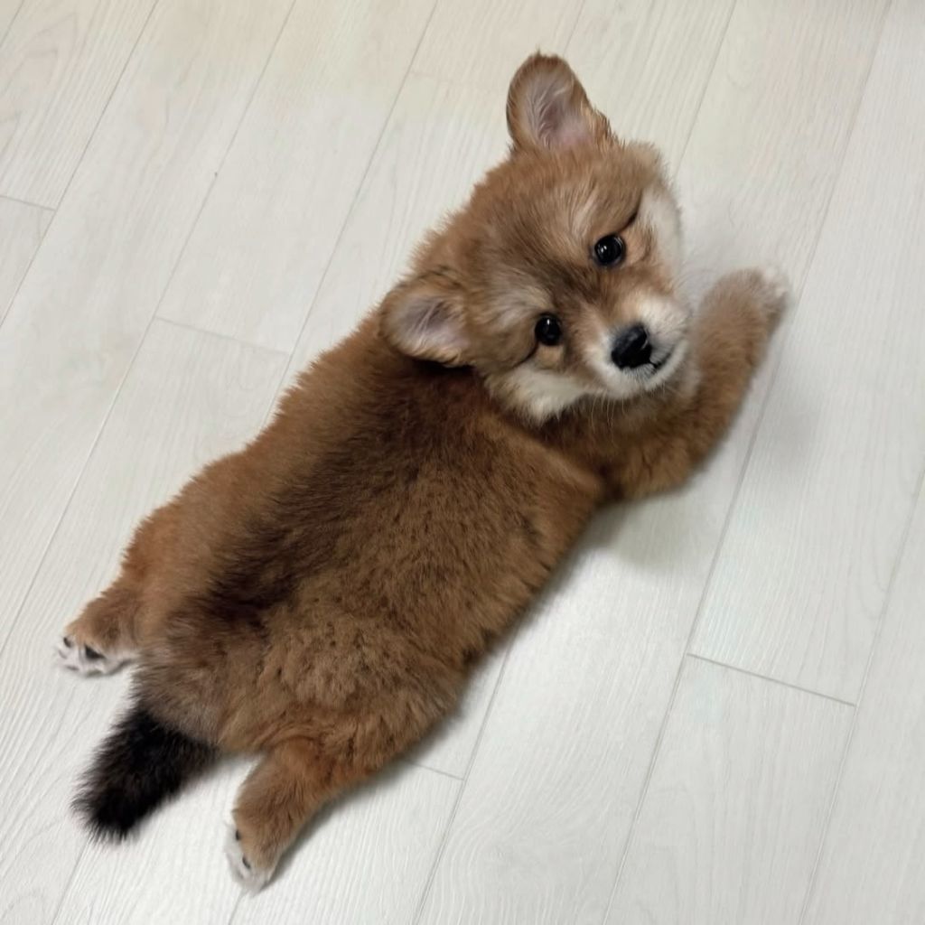프로필 이미지