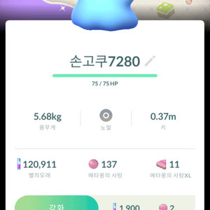 포켓몬고 이로치 배경 메타몽 이미지