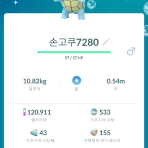 포켓몬고 이로치 코스튬 꼬부기 이미지