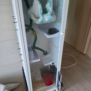 피그미다람쥐 사육세트 이미지