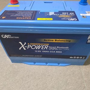 GSP X-POWER XP 100 인산철 배터리 이미지