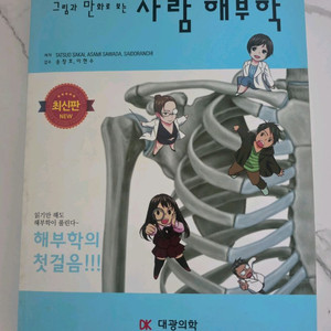 도서 그림과 만화로 보는 사람 해부학 교재 책 이미지