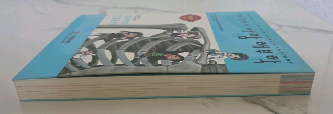 도서 그림과 만화로 보는 사람 해부학 교재 책 이미지