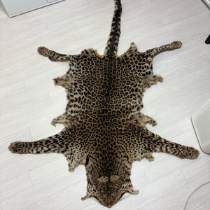 표범 가죽러그 이미지