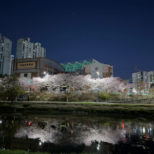 아이폰17프로맥스 구매합니다 삽니다아 ! 이미지