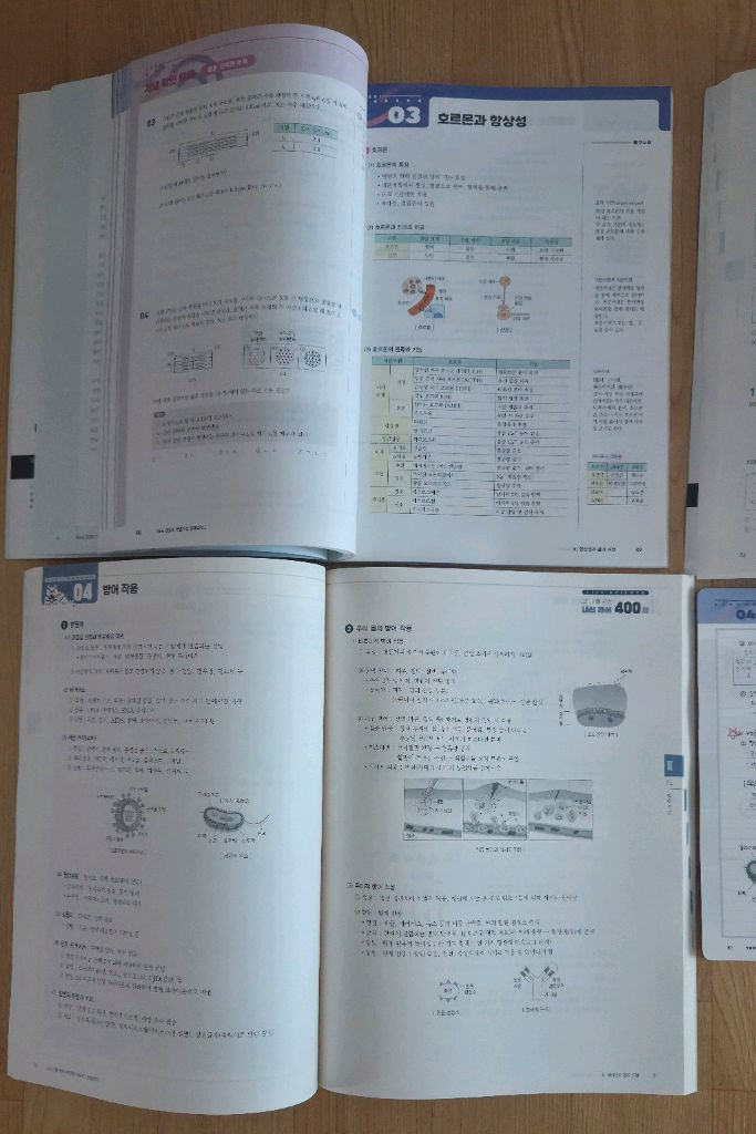 메가스터디인강(백호) 생명과학1개념완성,문제편,정답및해설,개념정리,고1,2를위한내신완성400제+덤 노트들 이미지