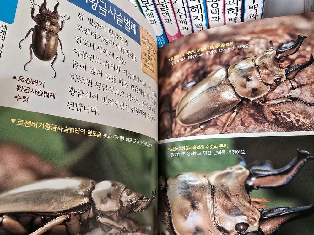 글송이 우리아이 과학백과 판매해요. 이미지