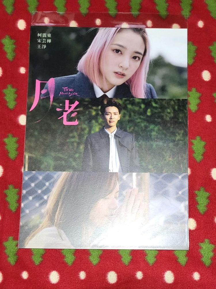 영화포스터,청춘적니 주연배우 포스터,만년이 지나도 변하지 않는 것이 있어,그여름 가장 차가웠던, 이미지