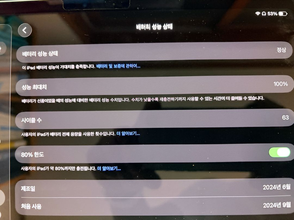 아이패드 프로 m4 11 실버 256gb wifi 이미지