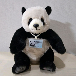 푸바오 동생 후이바오 사원증 인형 새상품 이미지