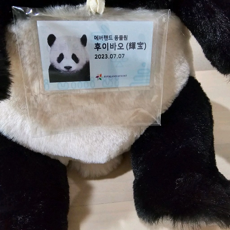 푸바오 동생 후이바오 사원증 인형 새상품 이미지