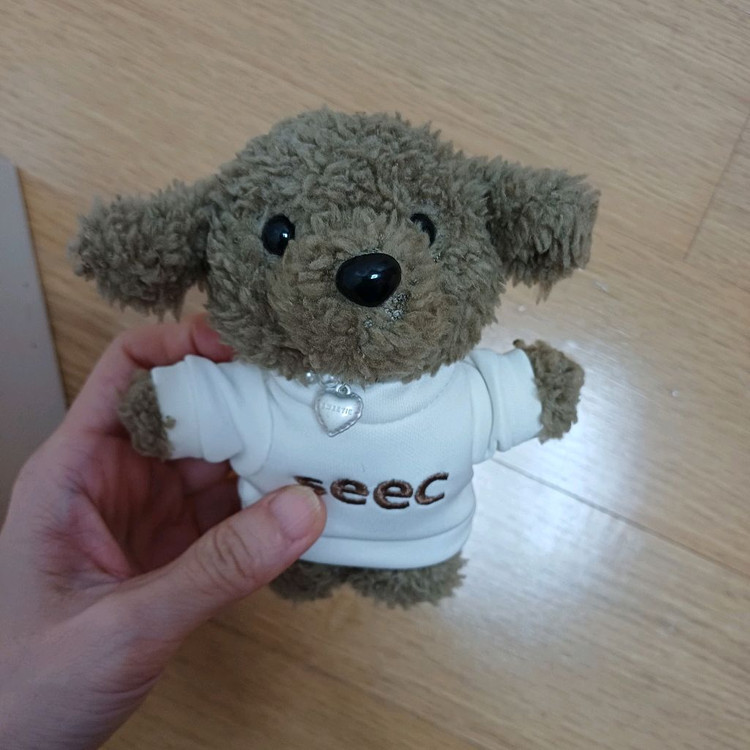 (새제품) seec 10주년 기념 곰돌이 키링 이미지