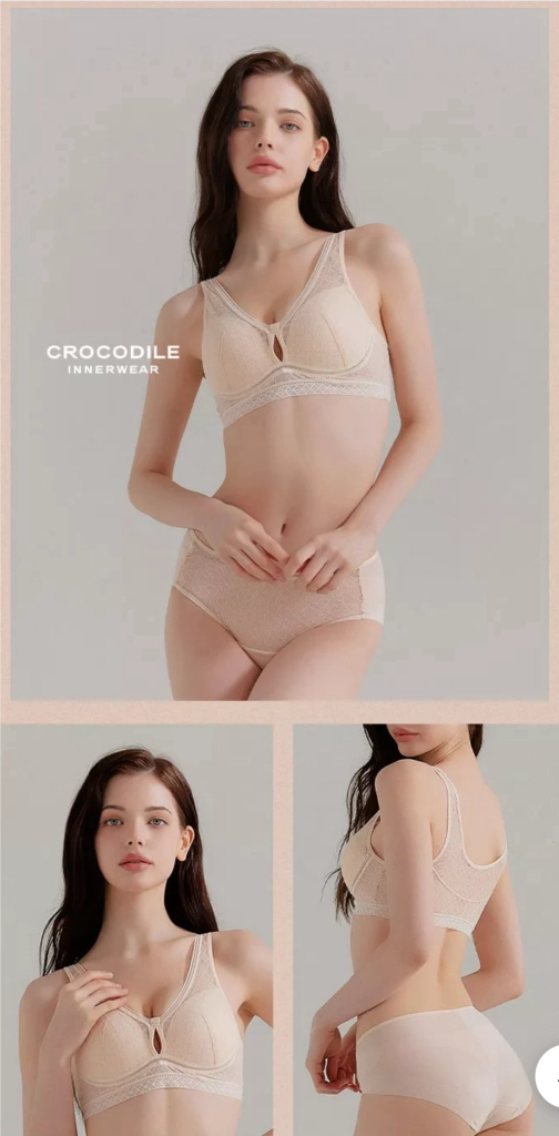 크로커다일 언더웨어 에어리핏 브라팬티 6세트 이미지