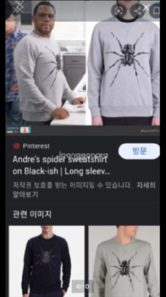 (가격인하) 정품 LANVIN 랑방 남성 스파이더 맨투맨 라지 [ Made in ITALY ] 이미지