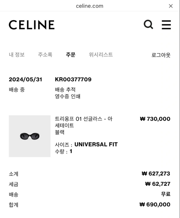 셀린느 트리옹프 선글라스 01 블랙 이미지
