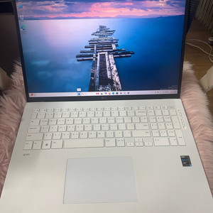 LG 그램 17Z95P-GA56K / 11세대 / 17인치 노트북 이미지
