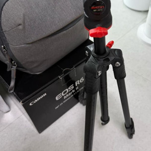 캐논R6 mark2 + 24-105mm 렌즈 세트 이미지