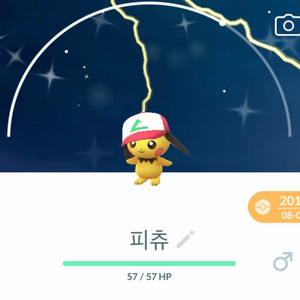 구매// 포켓몬고 이로치 이미지