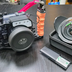 소니 Rx100 m5 수중카메라