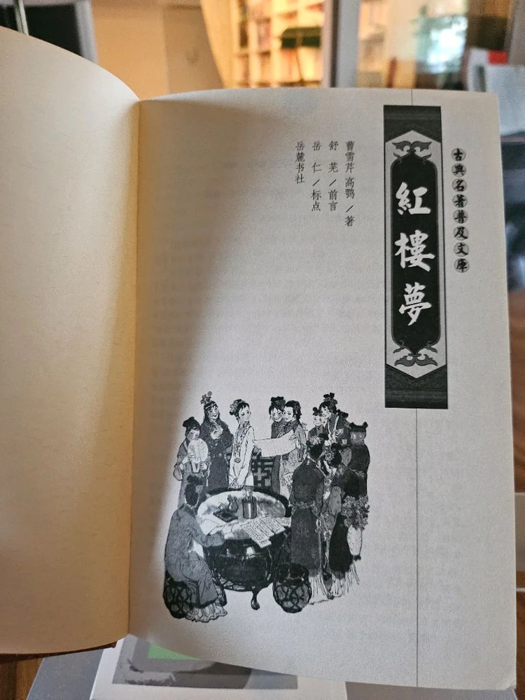 홍루몽(외국도서) 이미지