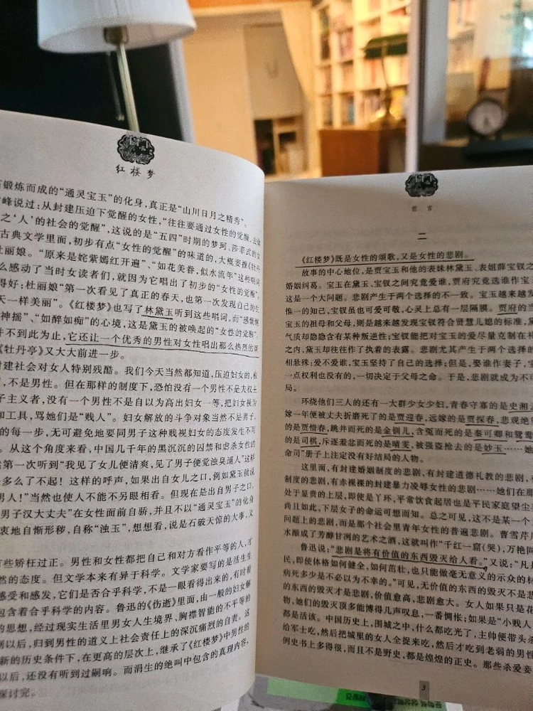 홍루몽(외국도서) 이미지