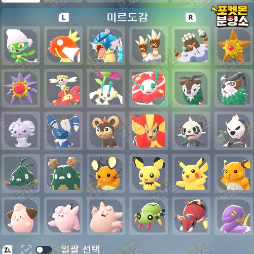 미르도감 / 포켓몬스터 레전드 ZA / 닌텐도 스위치 이미지