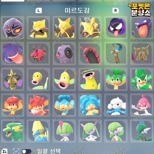 미르도감 / 포켓몬스터 레전드 ZA / 닌텐도 스위치 이미지