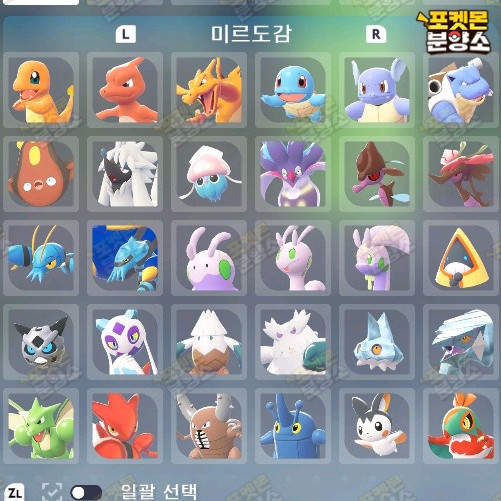 미르도감 / 포켓몬스터 레전드 ZA / 닌텐도 스위치 이미지