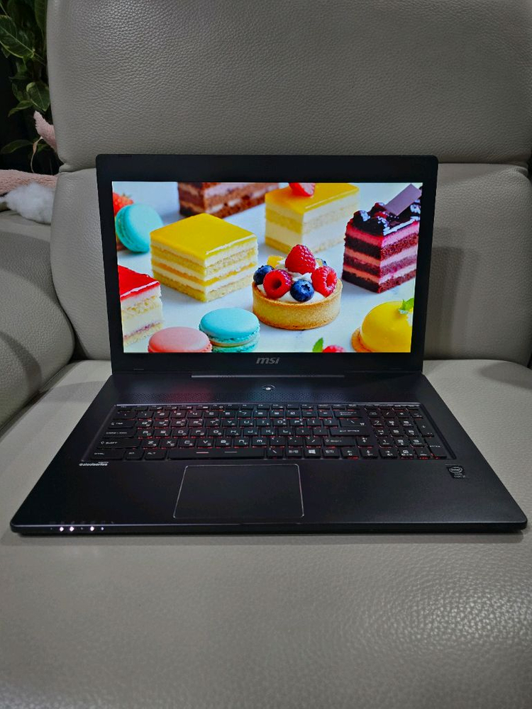 17인치 고성능 i7 사무/게이밍 노트북(16GB,1.25B,새배터리) 이미지