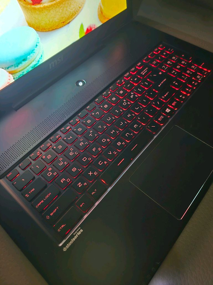 17인치 고성능 i7 사무/게이밍 노트북(16GB,1.25B,새배터리) 이미지