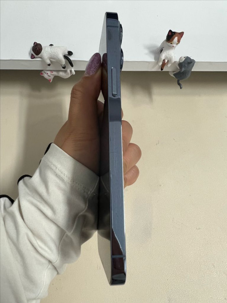 아이폰13프로맥스 256G 블루 S급! 이미지