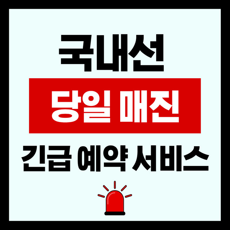 5/19 당일 긴급 매진 비행기표 예약) 제주 - 김포/부산/청주/대구/광주 국내선 이미지
