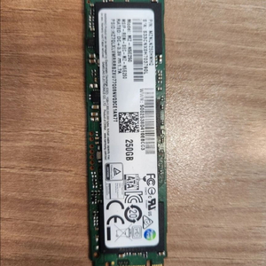 M.2 NVMe SSD 256GB 이미지