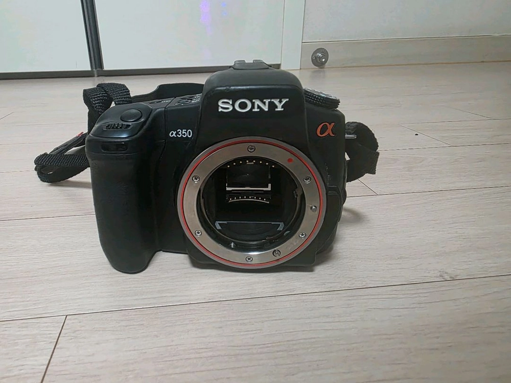 펜탁스 ist D, SONY 알파 350 카메라 이미지