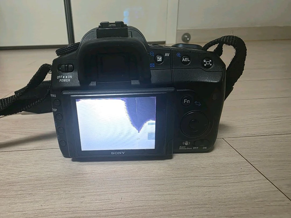 펜탁스 ist D, SONY 알파 350 카메라 이미지