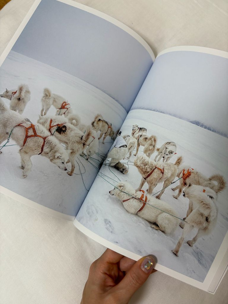 새상품 [롤렉스] 퍼페츄얼 플래닛 포토북 책자 인테리어 책자 잡지 서적 매거진 이미지