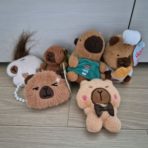 카피바라 인형 키링 모음, 전부 4000원 이미지
