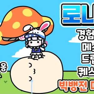 메이플스토리 로나월드 로나메소 7억 억당 1.3에 판매합니다 이미지