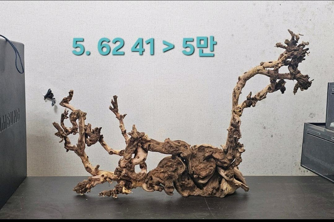 멋진 유목입니다 이미지