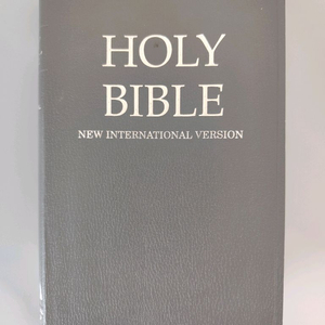 책 도서 NIV 영어 성경책 (새 국제판) 회색 이미지