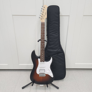 헥스 스트랫 일렉기타 E100 STD SB 이미지