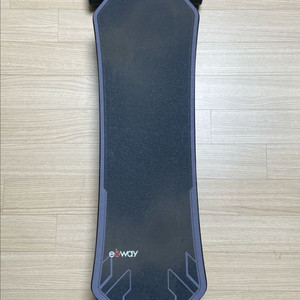엑스웨이 x1 max 라이엇 전동스케이트보드 exway 이미지