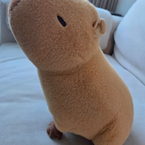 카피바라 인형 이미지