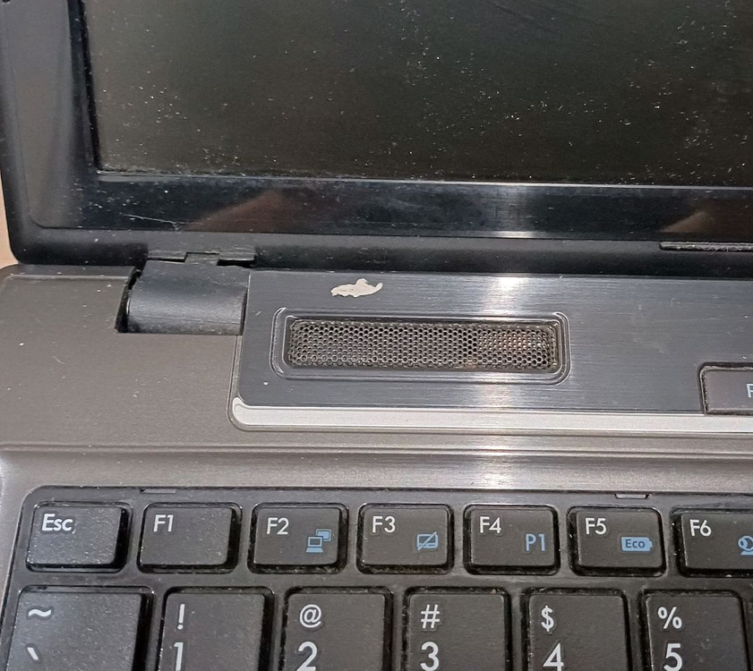 레노버, msi 노트북 2대 일괄 이미지
