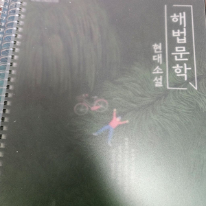 22개정 해법문학 현대소설 이미지