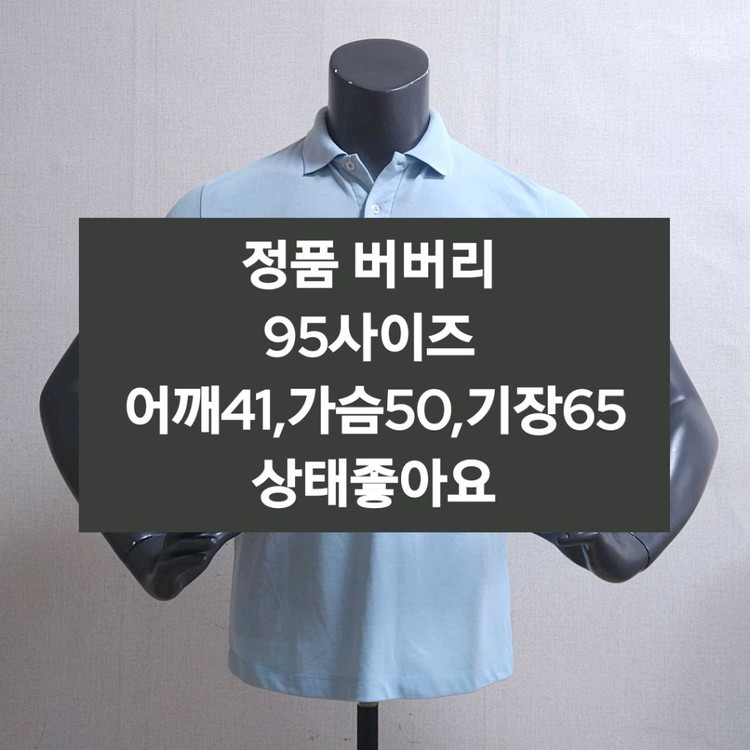 버버리 반팔티셔츠 95 이미지