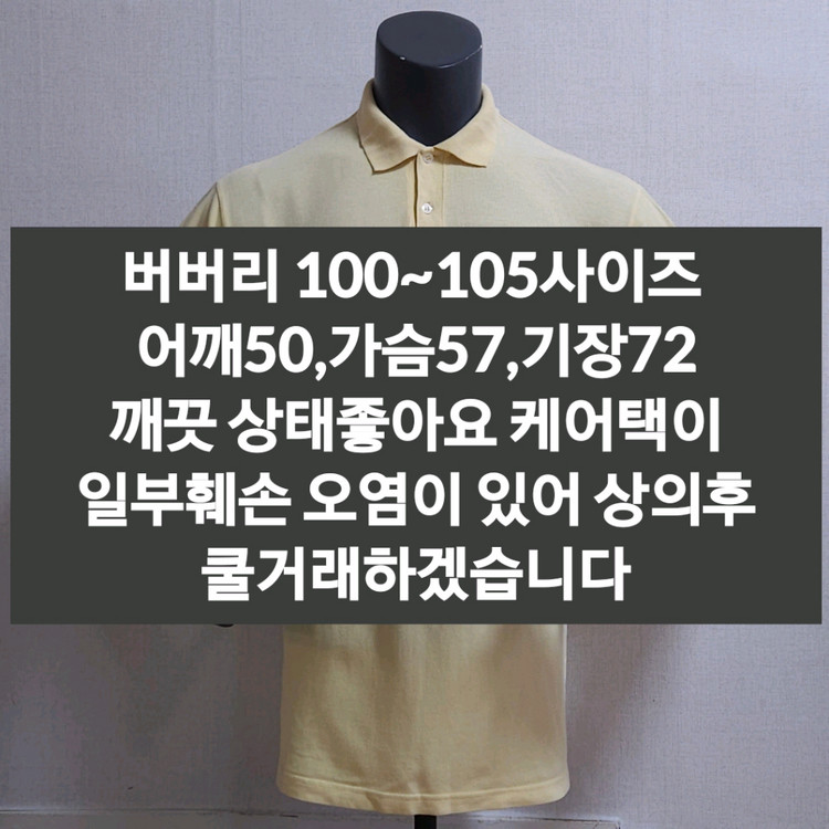버버리 반팔티셔츠 105 이미지